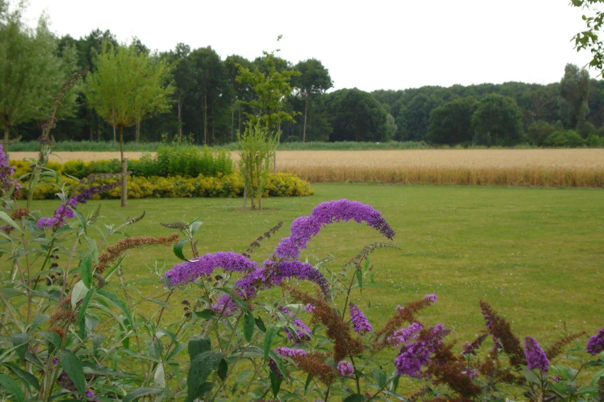Lodgerie Het Groene Geheim Almere Esterno foto
