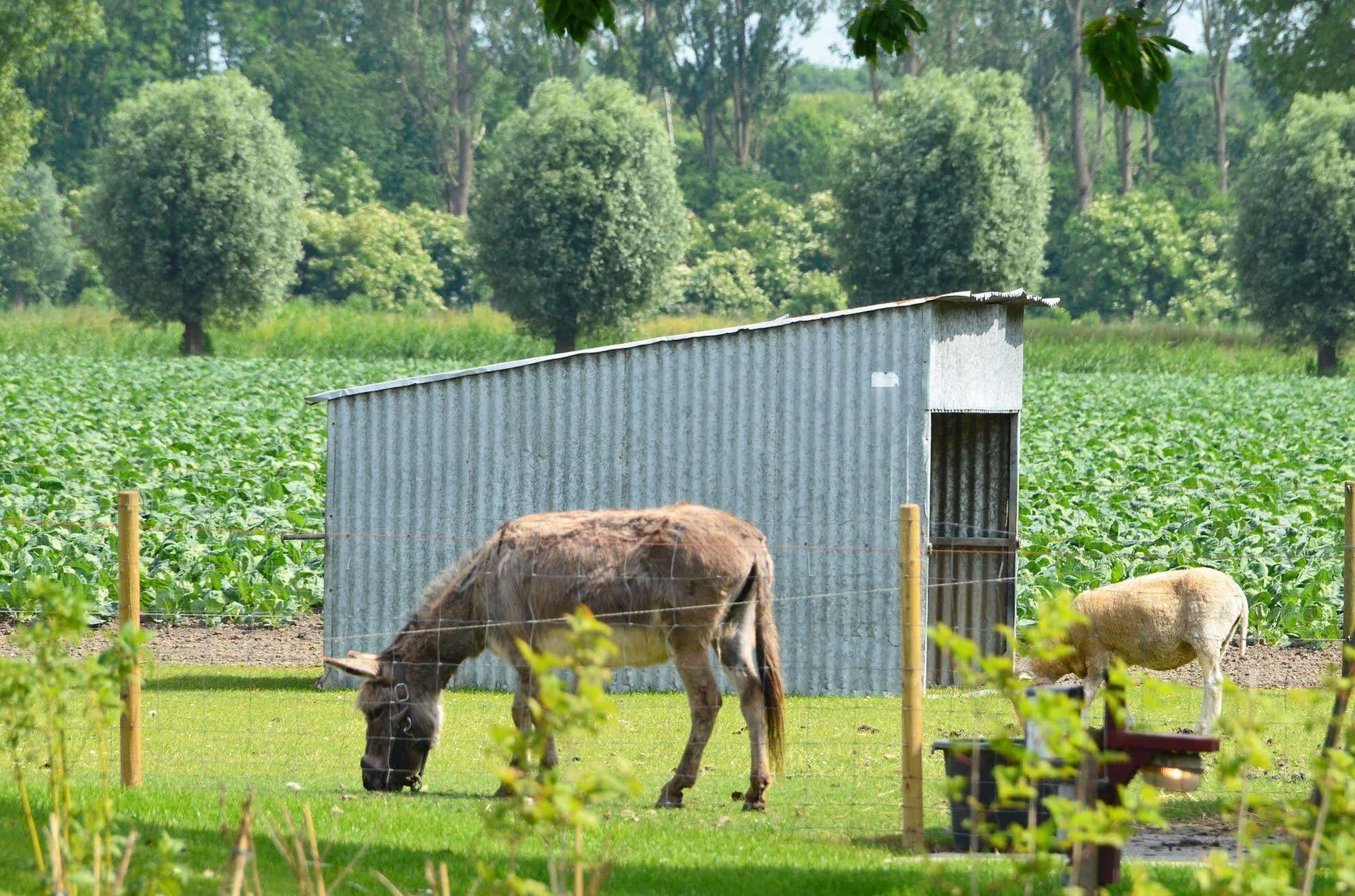 Lodgerie Het Groene Geheim Almere Esterno foto